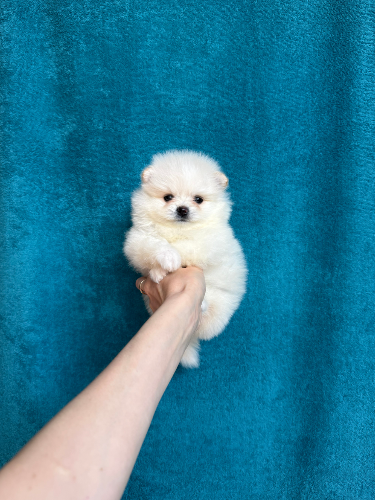 Мальчик Мальчик