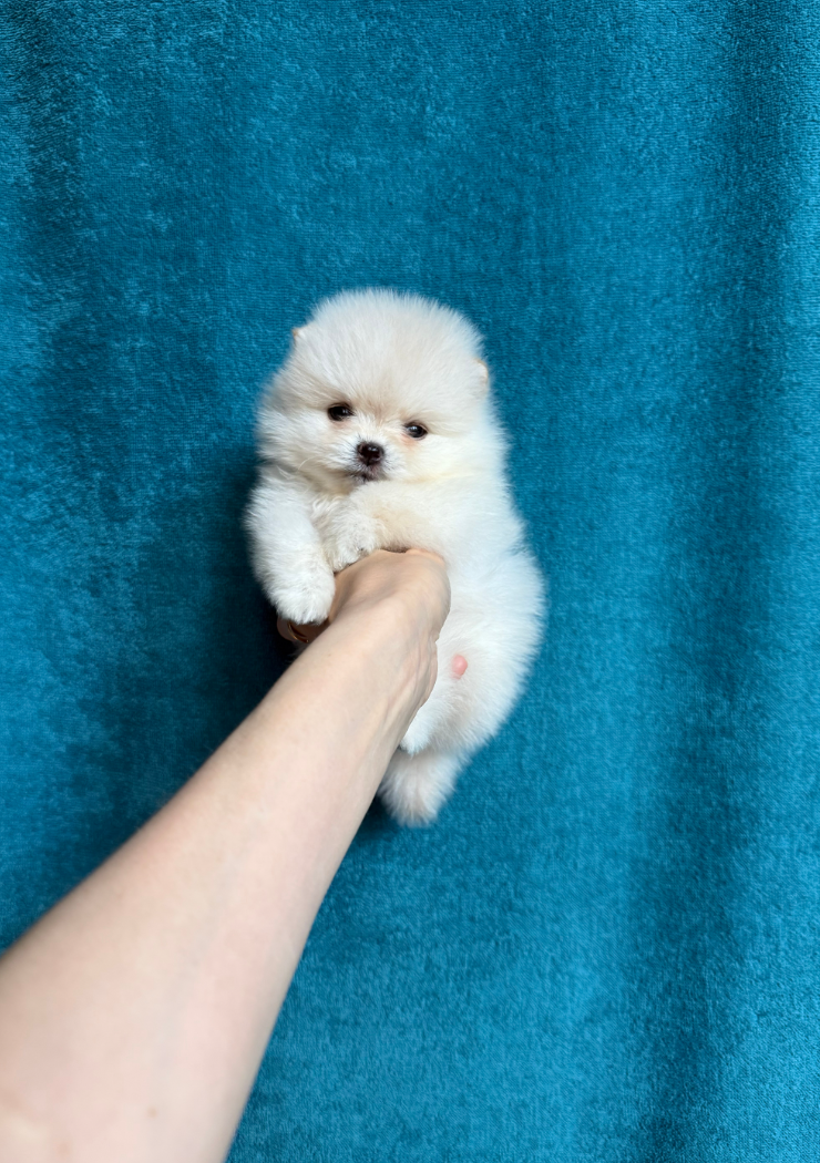 Мальчик Мальчик