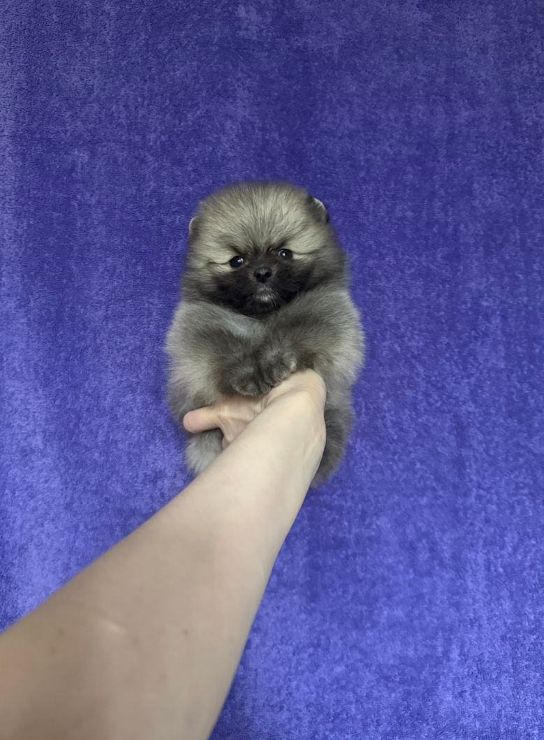 Мальчик Мальчик