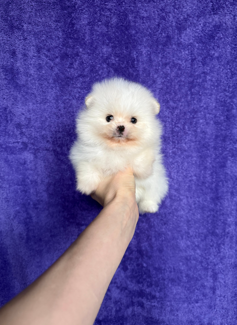 Мальчик Мальчик