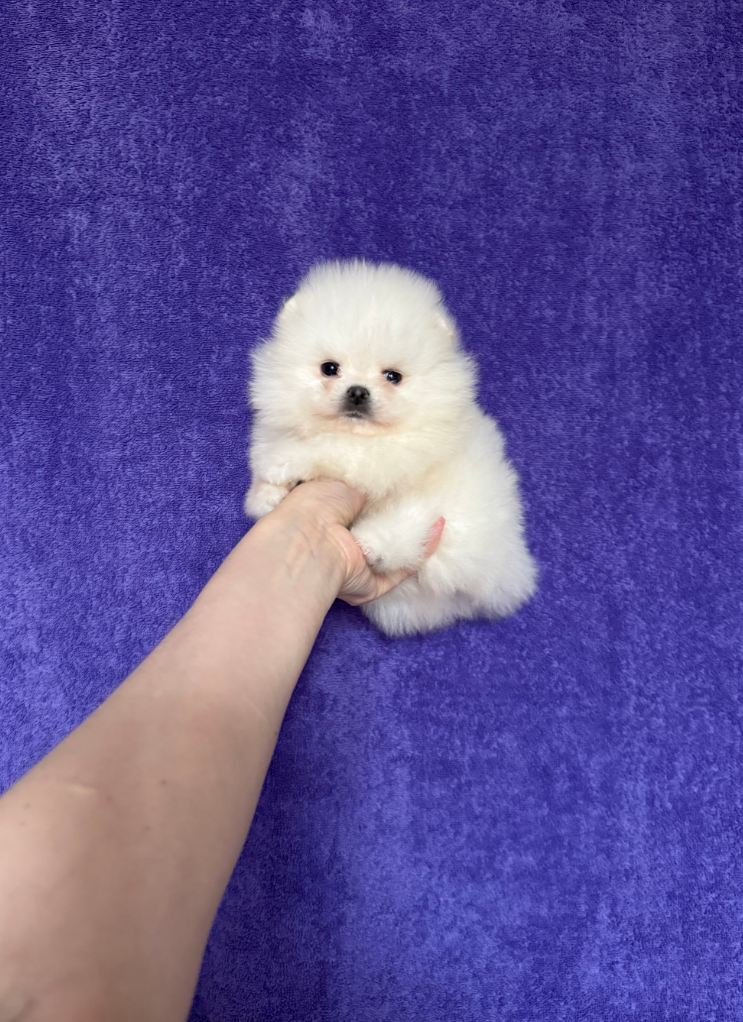 Мальчик Мальчик