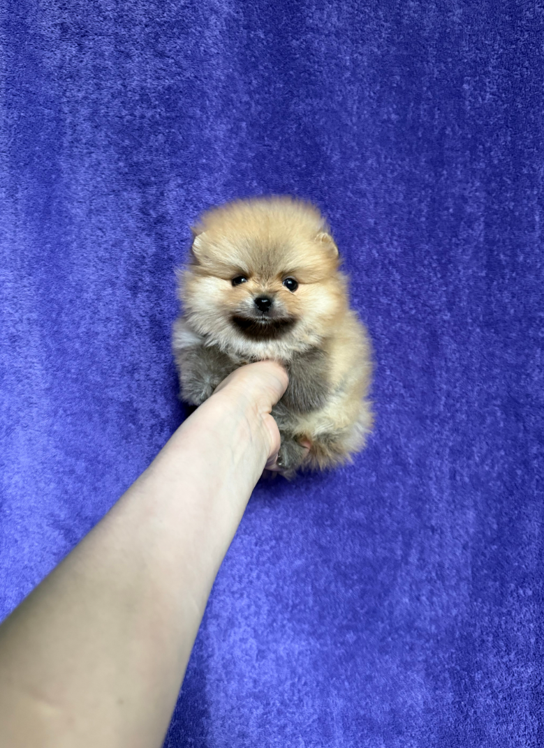 Мальчик Мальчик