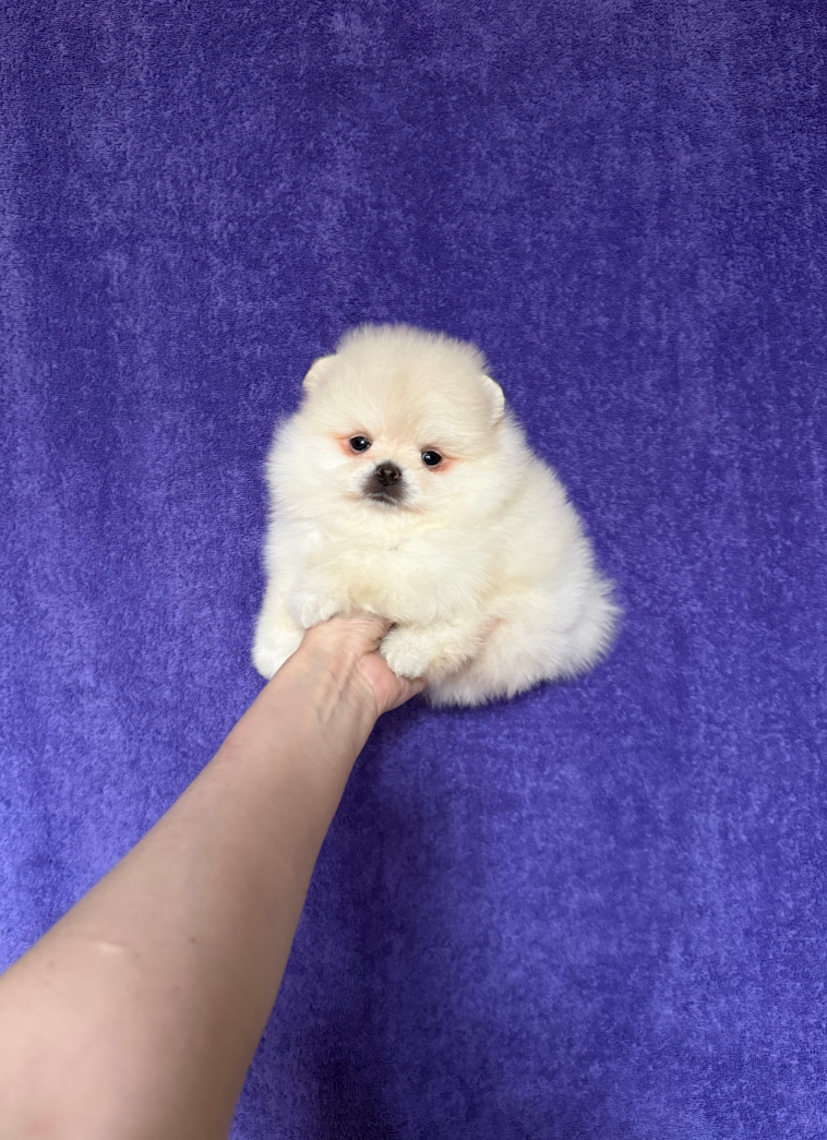 Мальчик Мальчик